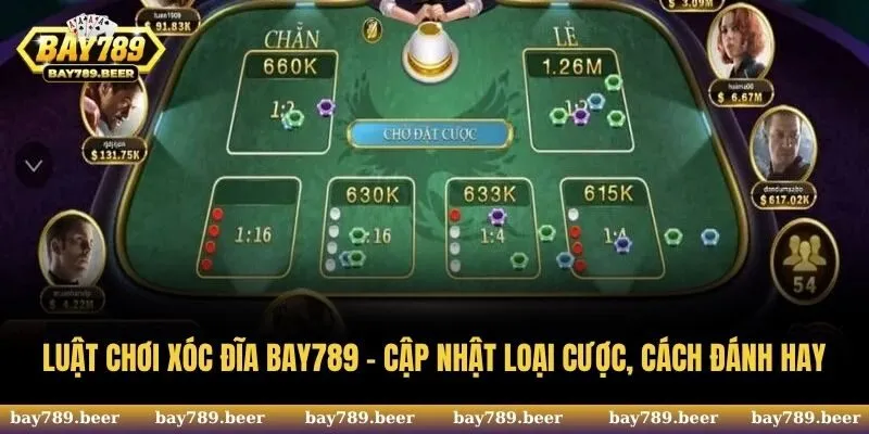 Luật Chơi Xóc Đĩa Bay789 - Cập Nhật Loại Cược, Cách Đánh Hay
